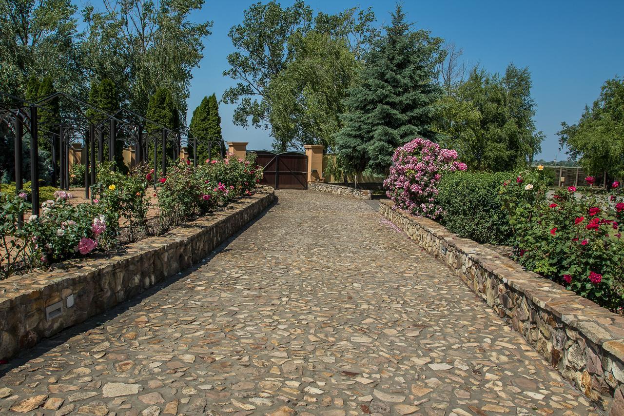Bed and Breakfast Garden Vendeghaz Makó Exteriér fotografie